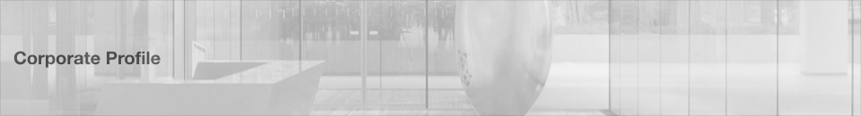 Corporate Profile