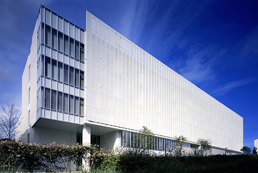 School of Pharmacy, Iwaki Meisei University