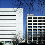 Kaketsuken M1 Building & New Headquarters Building