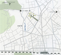 岩蔵が引いた一本の道と6軒の別荘を現在の軽井沢の地図に落とし込むとこのようになる。