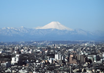 写真：中野セントラルパークサウス高層階から富士山を望む
