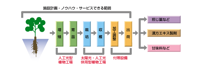 図：甘草栽培施設のビジネスモデル
