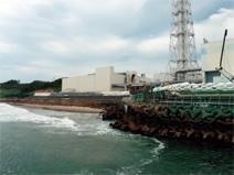 写真：津波対策として構築された防潮堤（提供：東京電力）