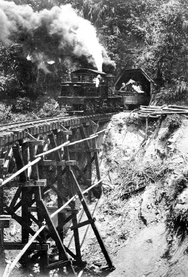 図版：台湾・阿里山鉄道　1913年
