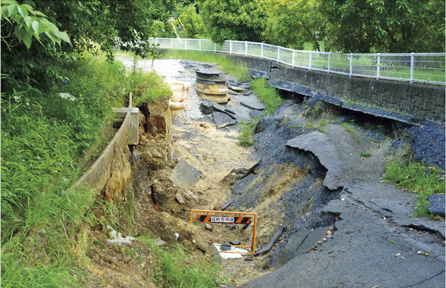 図：下水道管路（幹線）の被害