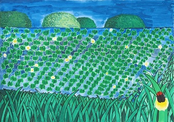 図版：KAJIMA 100年のみどり賞　武藤杏奈さん「夜の田んぼ」。家の周り、ホタルが飛ぶ風景を描きました。