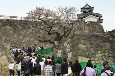 図版：2015年4月19日、三重櫓と前御門の公開が再開され、多くの方が訪れた
