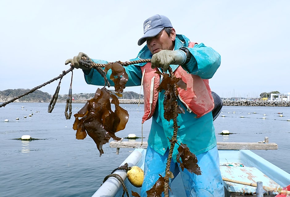図版：漁業者による海面養殖