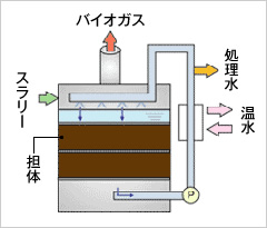 バイオリアクタ（メタン発酵槽）の構造