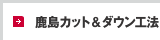 鹿島カット＆ダウン工法