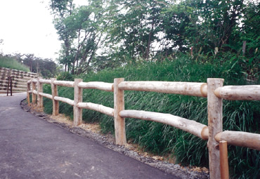 図版：伐採材の幹を使用した木柵