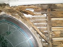 漏水による壁下地の白蟻被害