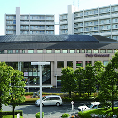 photo_shiki