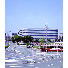 photo_yao