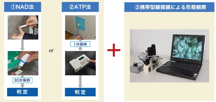 図版：カビ迅速診断技術