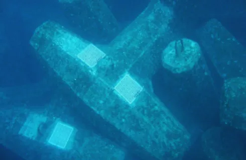 図版：港湾内の消波ブロックに設置されたコーラルネット