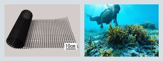 図版：自然分解型コーラルネット（プラスチック製）