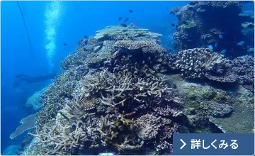 図版：港湾への適用
