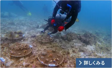 図版：アジア開発銀行プロジェクトへの適用