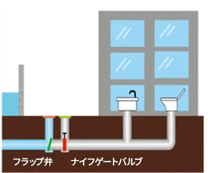 図版：二重逆流防止弁