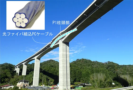 図版：光ファイバセンサが設置された橋梁の例