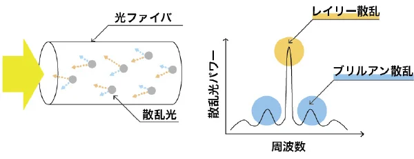 図版：光ファイバ中で発生する散乱光の模式図