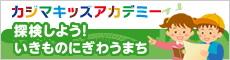 カジマキッズアカデミー　探検しよう！　いきものにぎわうまち