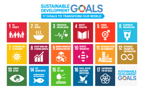 SDG logo