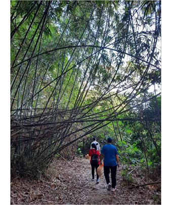 Hiking while picking up litter