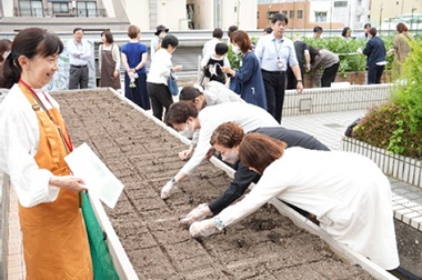 Image: Participants planting seeds