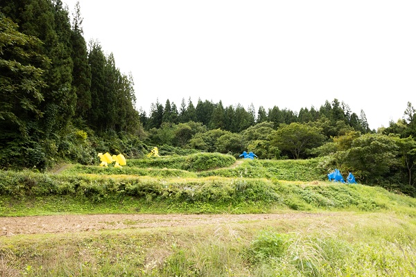Image: In the operating area of the Matsudai Tanada Bank, which aims to conserve the satoyama landscape that serves as the setting for the Echigo-Tsumari Art Triennale held in the Echigo-Tsumari region of Niigata, yellow and blue art objects inspired by agricultural work dot the area.