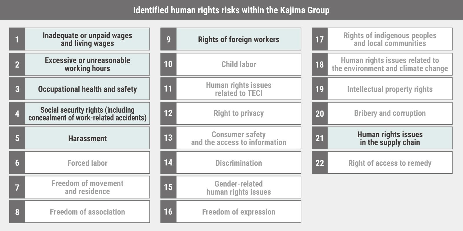 図版：Identified human rights risks within the Kajima Group