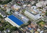 Main Complex
