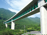 Steel/concrete composite truss bridge