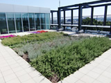 Urban green technology