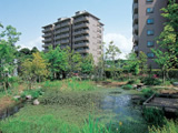 Biodiversity conservation