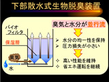 Biological deodorizing process