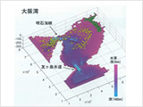 Numerical simulation system for water environment