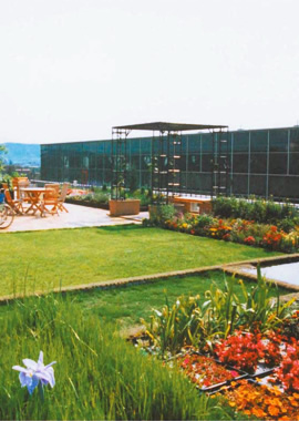 Environmental Engineering and Bioengineering