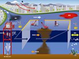 Protection against turbidity dispersion
