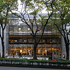 YM Square Omotesando