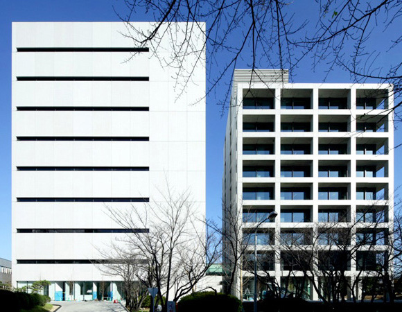 Kaketsuken M1 Building & New Headquarters Building