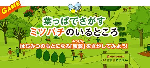 葉っぱでさがすミツバチのいるところ