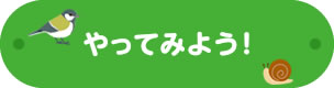 やってみよう！