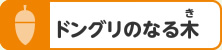 ドングリのなる木