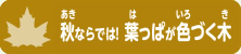 秋ならでは！葉っぱが色づく木