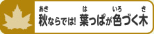 秋ならでは！葉っぱが色づく木