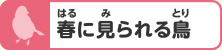 春に見られる鳥