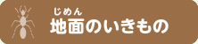 地面のいきもの