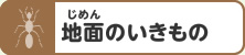 地面のいきもの